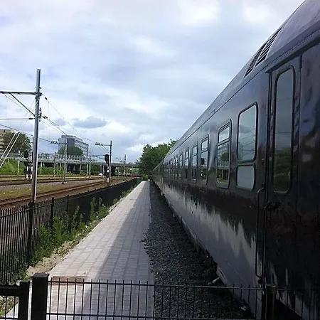Train