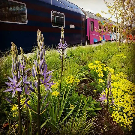 Train * אמסטרדם